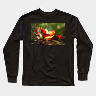 Aeonium Zwartkop Long Sleeve T-Shirt